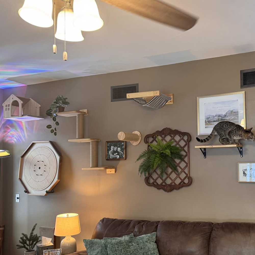 Furniture Paradise & Hardware Ghaziabad - Mobili per Gatti: Ponte Sospeso in