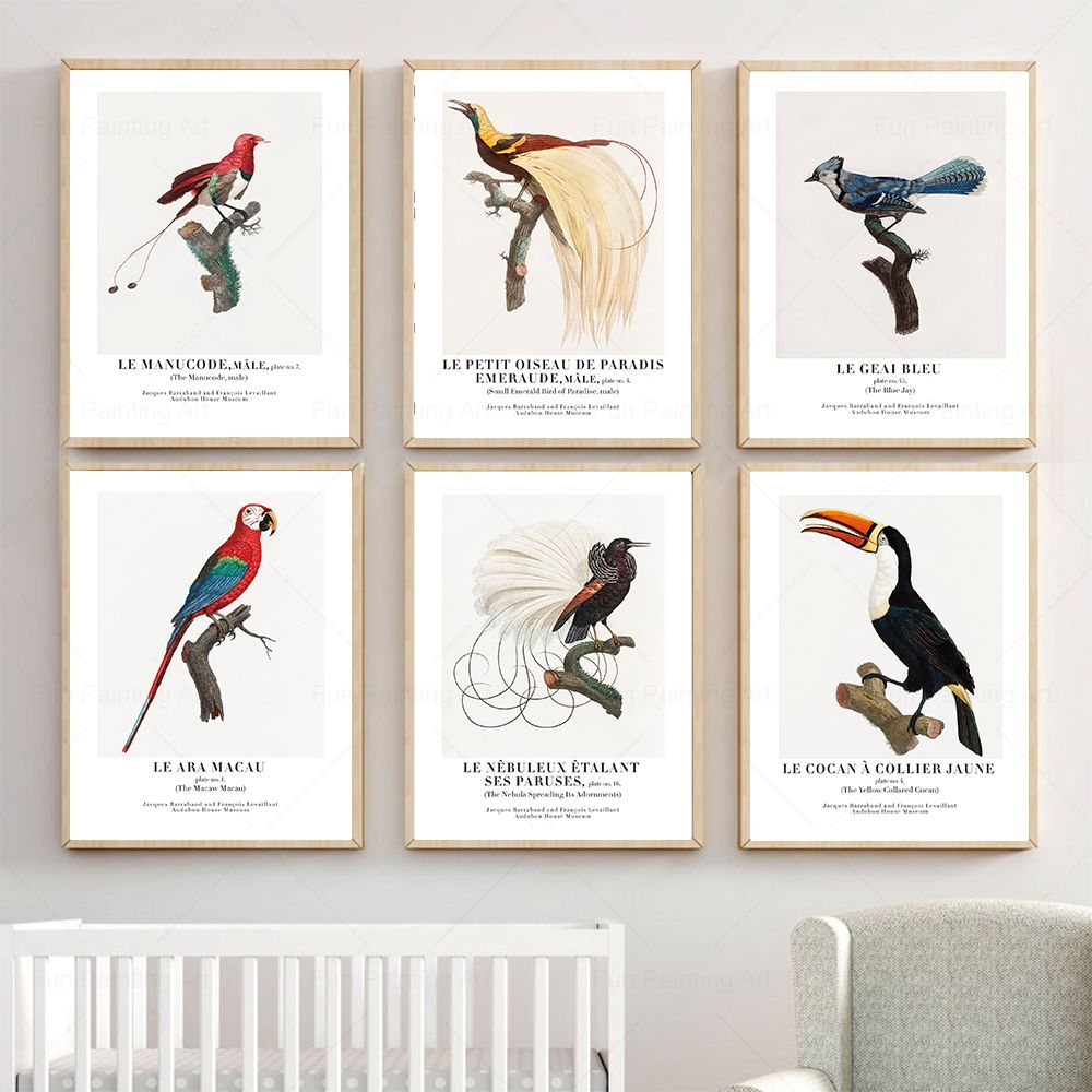 Vintage Paradise Bird Wall Art - Furniture Paradise & Hardware Ghaziabad recensione e prezzo