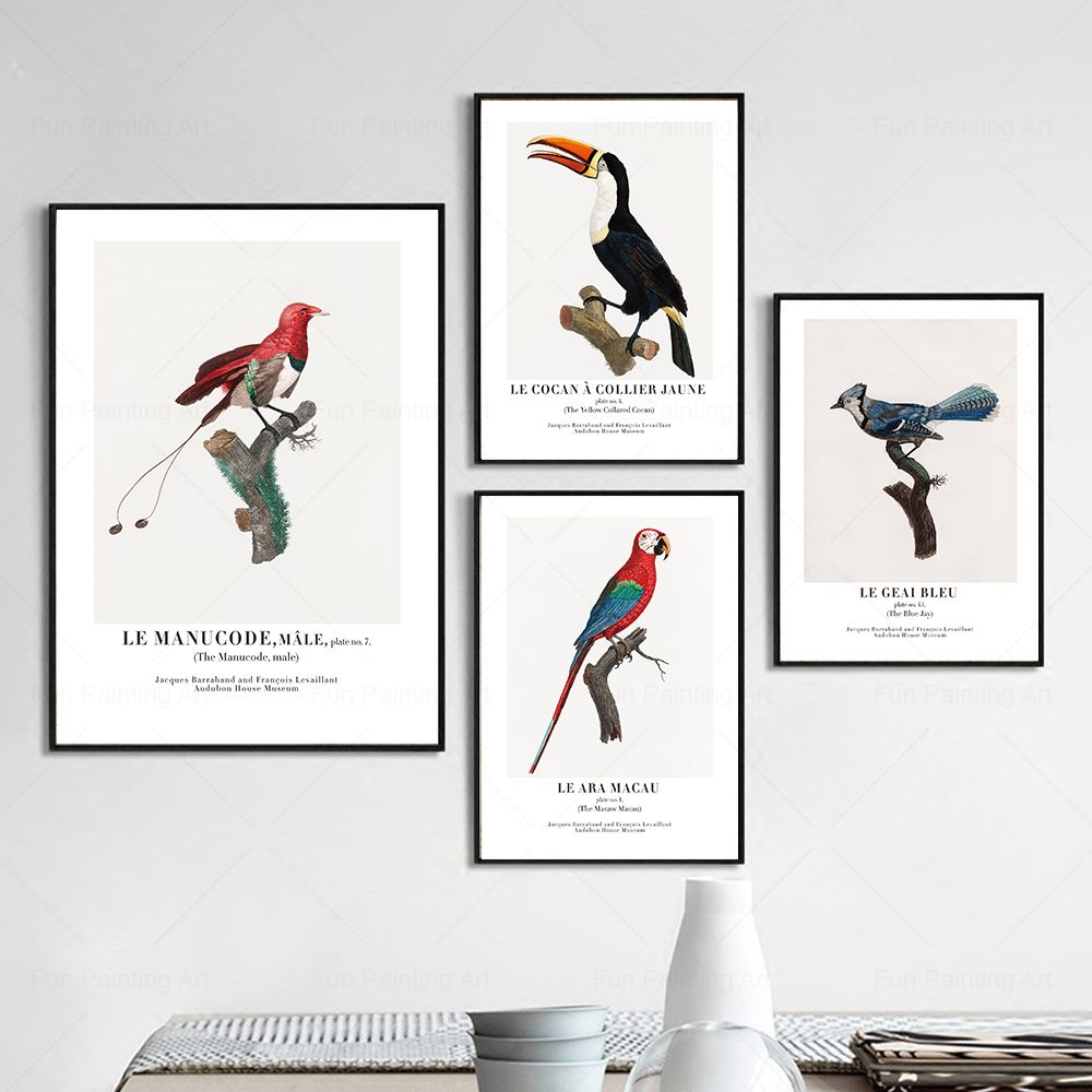 Vintage Paradise Bird Wall Art - Furniture Paradise & Hardware Ghaziabad recensione e prezzo