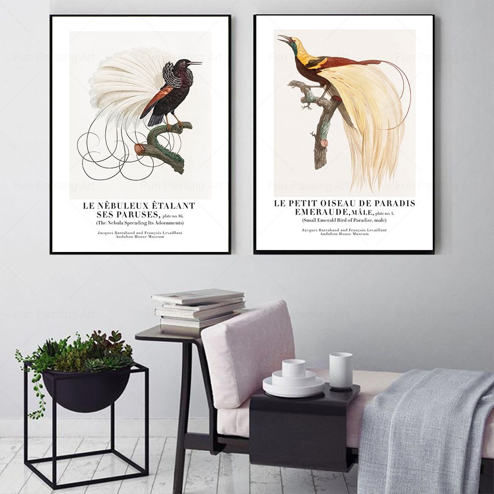 Vintage Paradise Bird Wall Art - Furniture Paradise & Hardware Ghaziabad recensione e prezzo