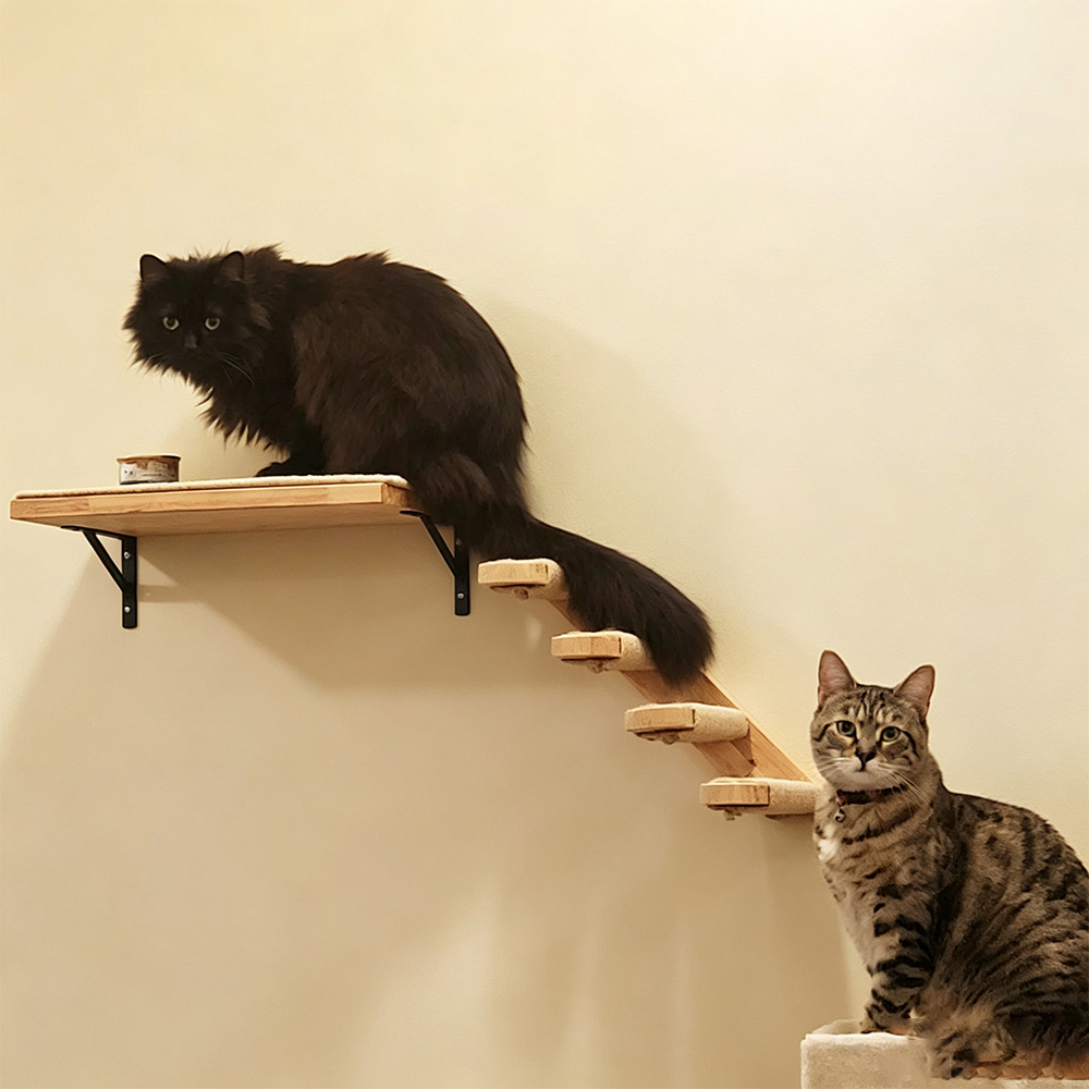 Mobili per Gatti: Ponte Sospes - Furniture Paradise & Hardware Ghaziabad recensione e prezzo