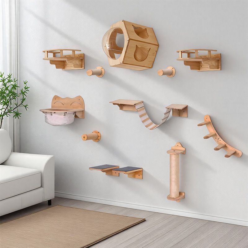 Mobili per Gatti: Ponte Sospes - Furniture Paradise & Hardware Ghaziabad recensione e prezzo