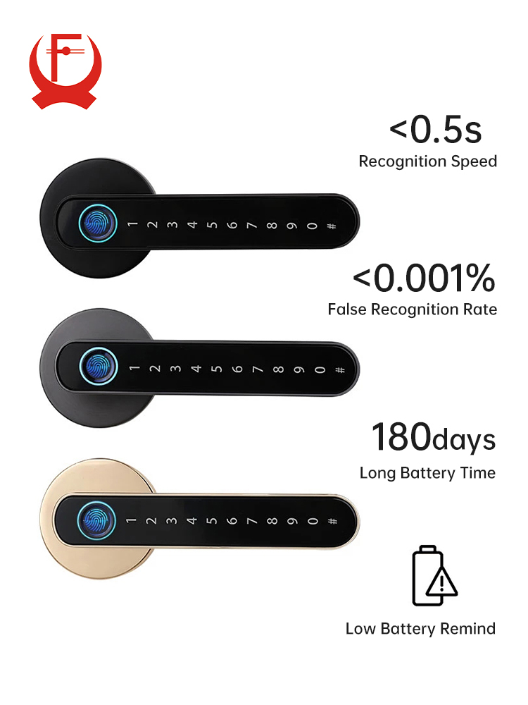 KAK Smart Fingerprint Door Loc - Zinc Furniture Hardware recensione e prezzo