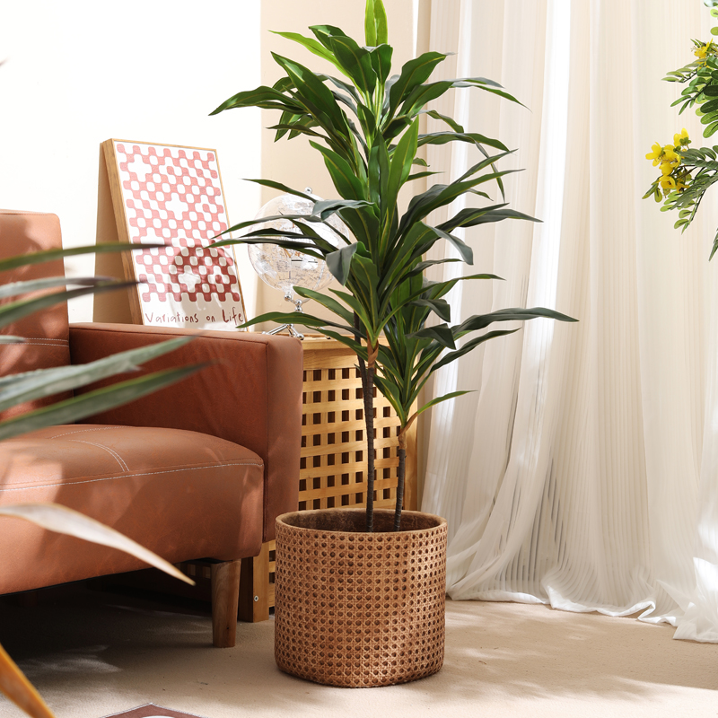 Mobili per appartamenti di pic - Furniture Paradise & Hardware Ghaziabad recensione e prezzo